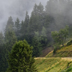 2019-08 Savoie/La Tuile/DSC_1211.JPG